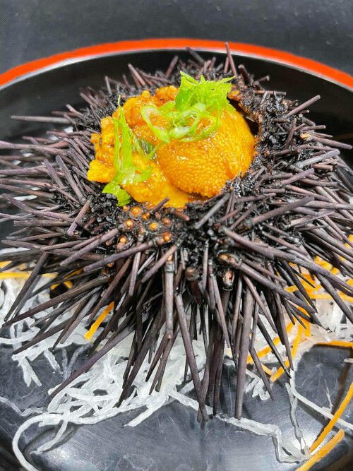 Live Uni Chawanmushi
